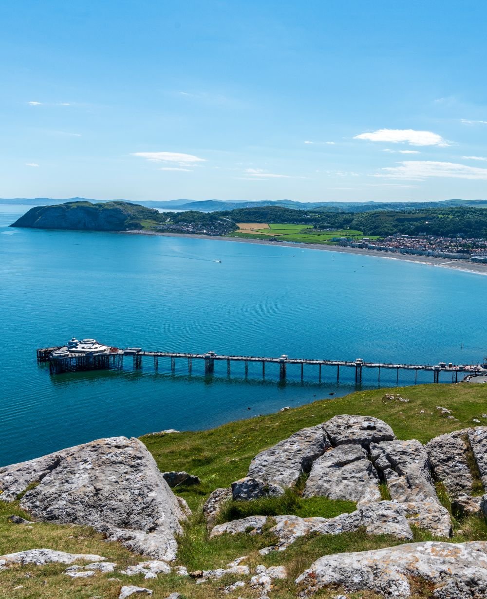 Untitled design - 2026-03-30T111932.290