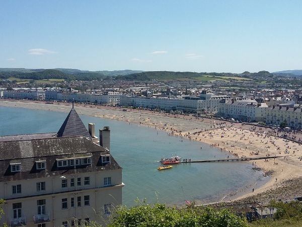 Untitled design - 2026-04-14T160128.308