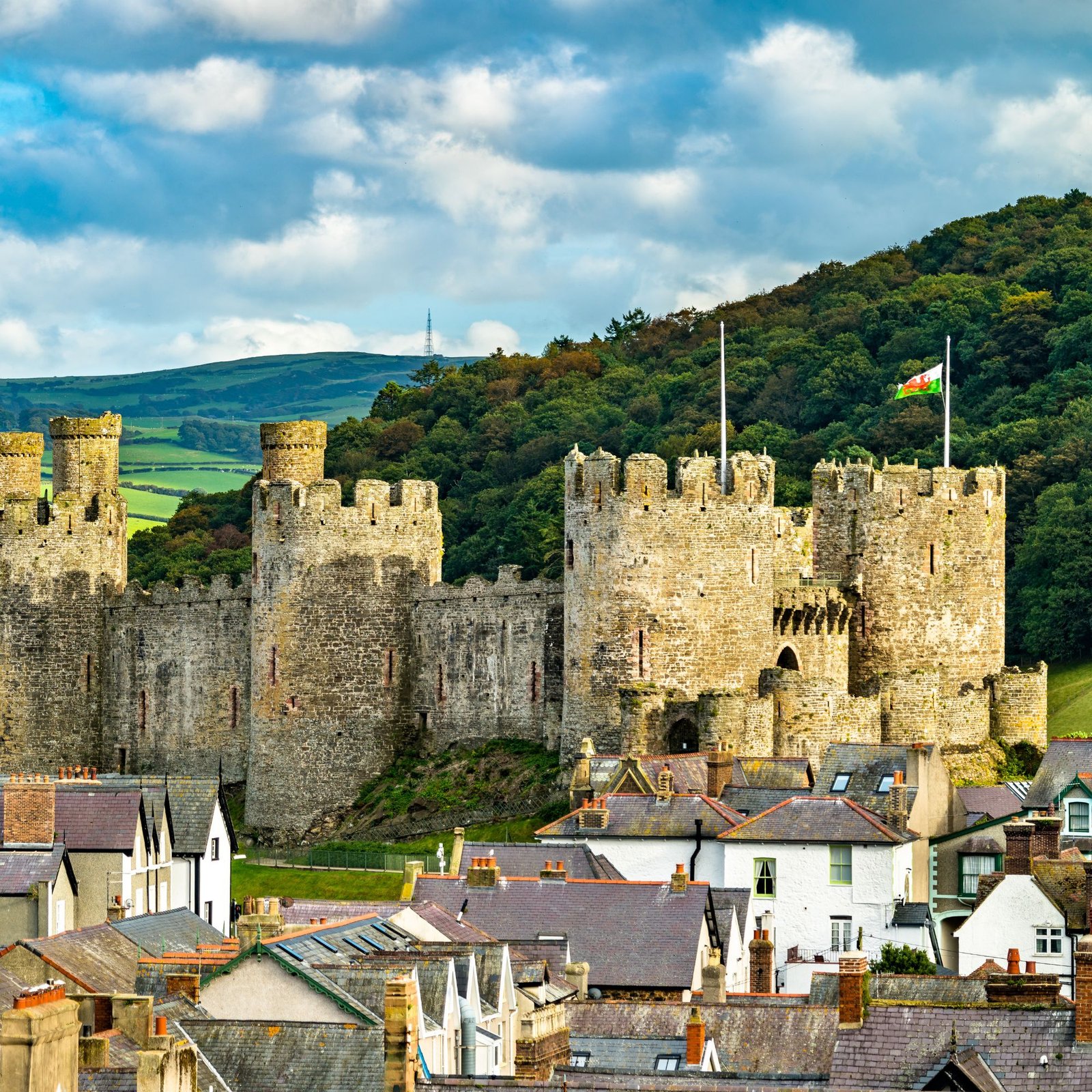 Untitled design - 2026-04-14T161425.143