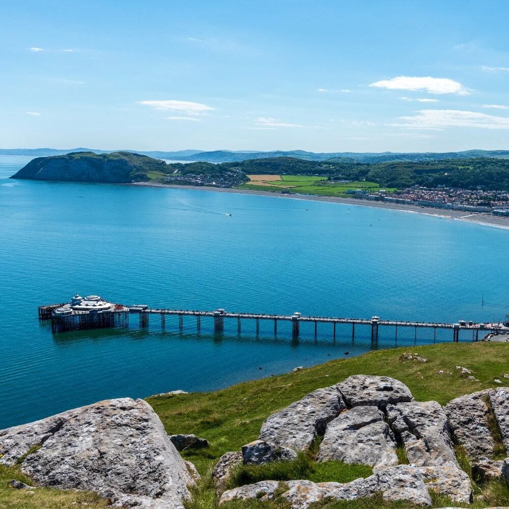 Untitled design - 2026-03-30T111932.290